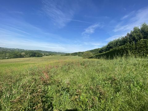 Beautiful land, free of builder, in the town of Orthez. Located just a few minutes from the city center, quick access to the A64, this land offers an area of 4916m² with a great possibility of construction. Servicing at the edge of the plot. You will...