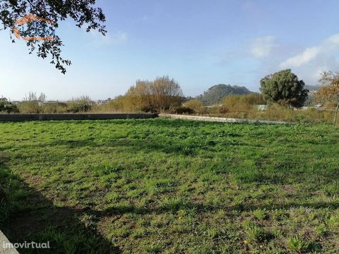 Land for construction individual housing, good access, light, public water and spring water, walled with basic infrastructure, paved street, sea view, quiet area, next to the knot of Antas to A 28, near the cities of Viana do Castelo, Esposende, Port...