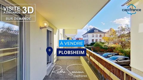 Dpt Bas-Rhin (67), à vendre PLOBSHEIM appartement T2 de 50,22 m² - Terrasse - Cave - Place de parking - Garage