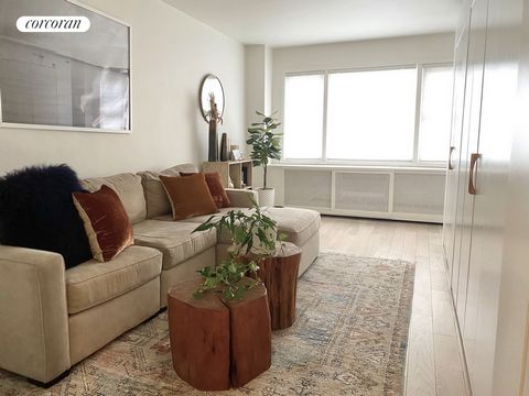 Experience tranquility in this recently renovated and spacious junior 1-bedroom/alcove studio home, spanning 600 sqft. Bathed in natural sunlight with 5 east-facing windows, this residence boasts wide-plank white ash hardwood floors and meticulously ...
