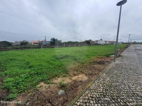 Grande oportunidade! Terreno urbanizável em Porto Alto - Samora Correia, com projeto para construção (sujeito a alterações), com estudo de implantação de 132,75m2 para uma moradia unifamiliar de dois pisos com 252,75m2 de área de construção. Cada vez...