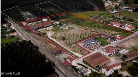   Terrain urbanisable de 46 622 m2 (4,6 ha), inséré dans une zone résidentielle, desservi par toutes les infrastructures, situé à Guia, Pombal.   La propriété est divisée en 2 articles : 6 400 m2 de terres forestières; 40 223 m2 de terrains urbanisab...
