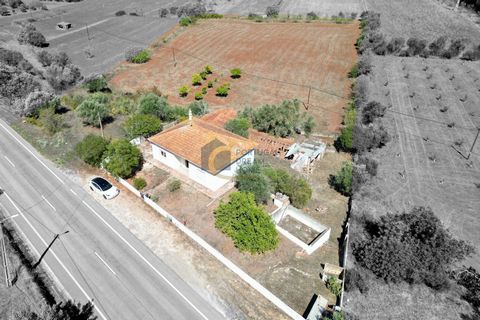 Detached house with 3 bedrooms, living room, kitchen with pantry, on a plot of 11,600 m2, water tank, borehole, mains water, further down the land we have some buildings previously used as agricultural warehouses, mangers and pigsties. A few minutes ...
