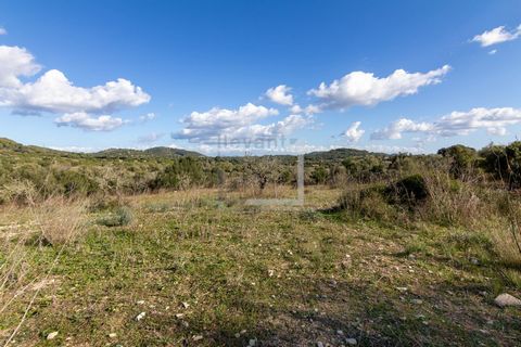 Building plots in Xiclati between Son Servera and Artà with a total area of 16.174 m2, easy access, with asphalted road up to the entrance of the properties. It is possible to build a house of 242 m2 plus a swimming pool of 35 m2. Ideal location for ...