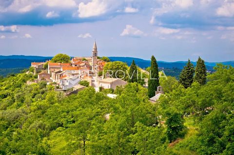 Draguć is a medieval town that is called Istrian Hollywood because of the series of films that were shot there. Starina is located on a building plot of 121 m2. Electricity and water connection is in the immediate vicinity. A family house with a maxi...