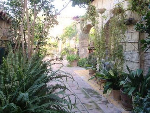 A fantastic opportunity to buy a magnificently large townhouse in the beautiful town of Jerez de la Frontera in the lovely province of Cadiz. It is at present utilised as a B&B with bodega and wine production, and has a big patio with several fruit t...