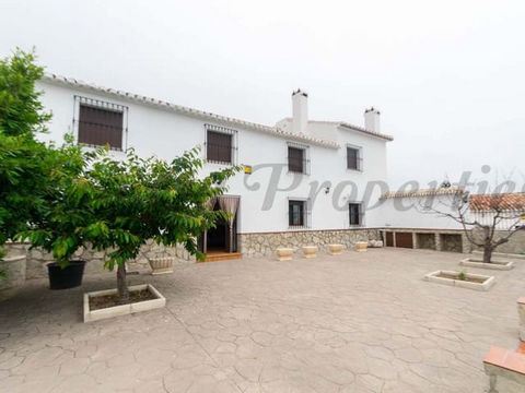 Country house with large stables located on a huge plot 8 kilometers from Periana. This property could be a good investment option for a B&B or as an agricultural or equestrian business. The house has a large living room with a fireplace, a kitchen, ...
