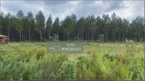 REF 4384- 10 minutes from Labrit, in the town of Luxey, land of 1080m2 constructible for a total floor area of 250m2. Free of manufacturers. For more information, contact Maura at ...