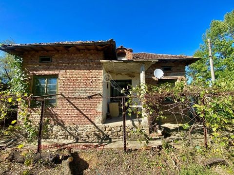 Imoti Tarnovgrad vous propose une maison dans le village de Mihaltsi, qui se trouve à 5 km de la ville de Veliko Tarnovo. Pavlikeni et à 30 km de la ville de Pavlikeni. Veliko Tarnovo. La propriété est répartie sur deux niveaux, et au premier niveau,...