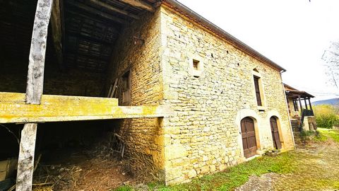 photo no. 2