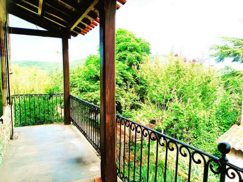photo no. 6
