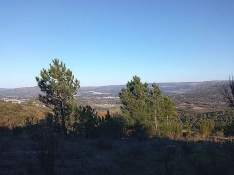 Kabeljau. Durchwahl 7084 BAUERNHOF OSTAUSRICHTUNG MIT 1.731 HEKTAR, Steinhaus zum Sanieren, Wasserminen und Brunnen, Waldgebiet und Panoramablick Die 