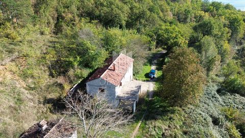 Location: Istarska županija, Pićan, Zajci. We are selling a house for adaptation. The house is located in a small Istrian village about 20 kilometers from the town of Labin. The house is quite old and requires complete adaptation, the best solution i...