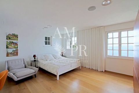 photo no. 14