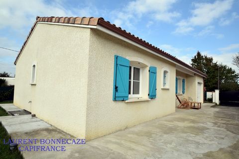 photo no. 2