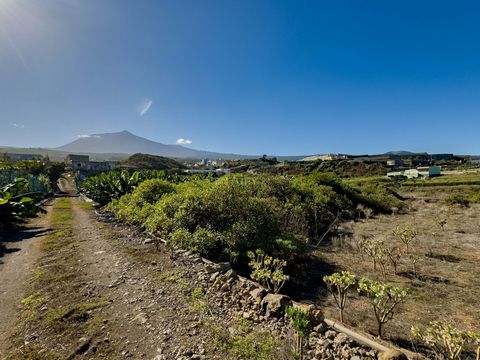 En venta gran terreno en la zona de Santo Domingo- La Guancha con casa. Oportunidad única en la zona agrícola: Se vende terreno de más de 14.000 m² de cultivo de platanera, con gran potencial productivo. Ideal para aquellos interesados en la agricult...