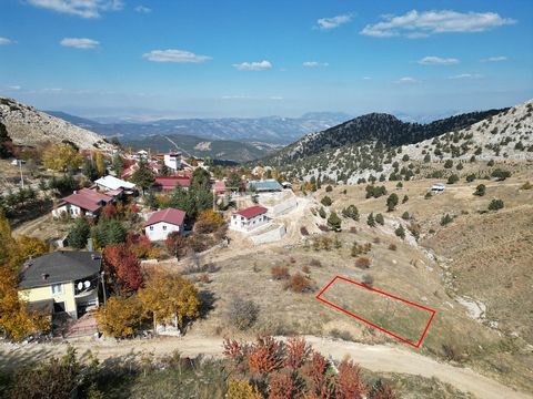 317 m² Construction Permitted Land for Sale in Antalya Konyaaltı Çağlarca Village The ... is construction permit and is located in Konyaaltı Çağlarca Village. Çağlarca Village hosts many visitors every day with its Saklıkent Ski Center, special resta...