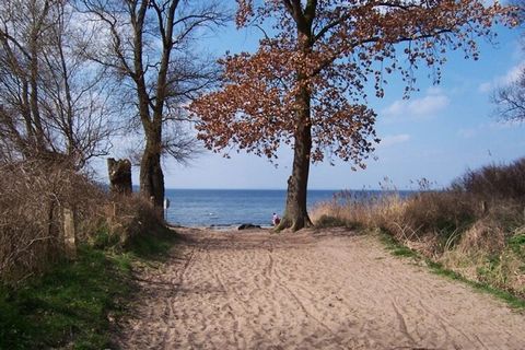 Dit comfortabele tweekamerappartement is gelegen in Warnkenhagen, gemeente Kalkhorst, in het noordwesten van Mecklenburg, in de prachtige Klützer Winkel. Het is slechts ongeveer 1,5 km naar een van de natuurlijke stranden. Warnkenhagen ligt op ongeve...