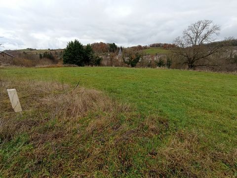 photo no. 8