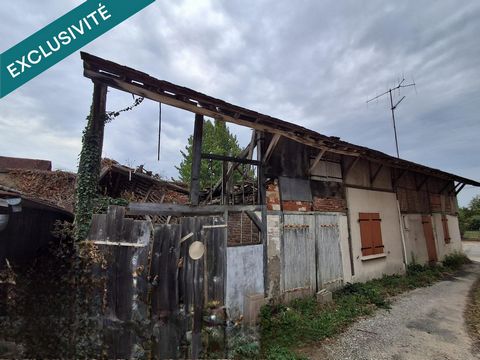 photo no. 11