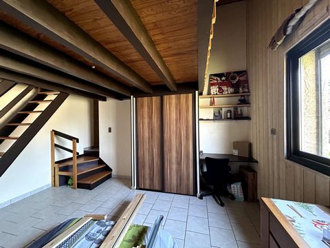 photo no. 12