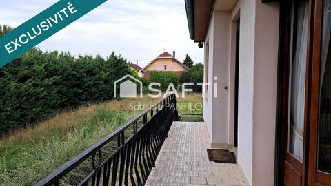 photo no. 13