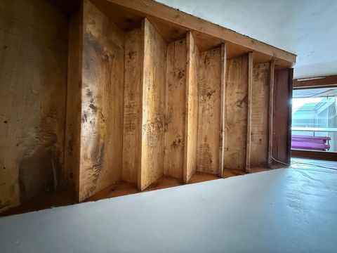 photo no. 11