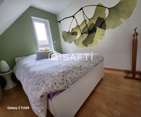 photo no. 15