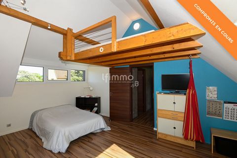 photo no. 11