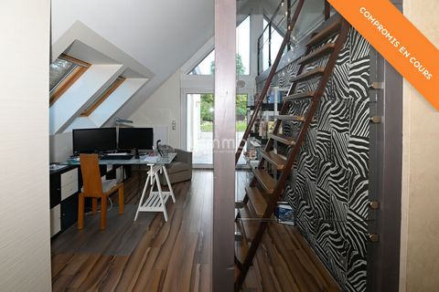 photo no. 16