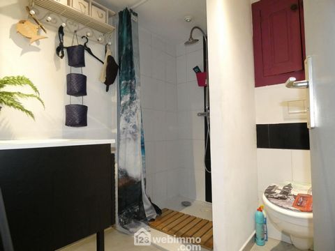 photo no. 12