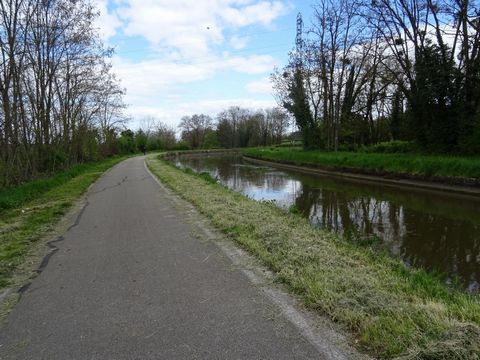 photo no. 11