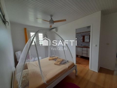 photo no. 16