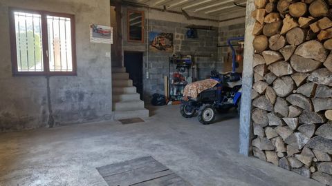 photo no. 10
