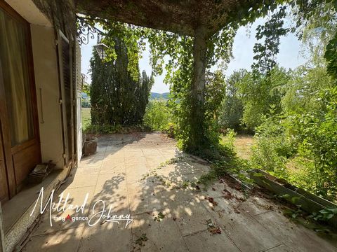 photo no. 11