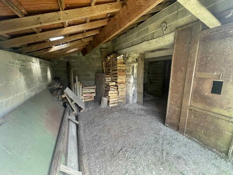photo no. 11
