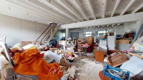 photo no. 15