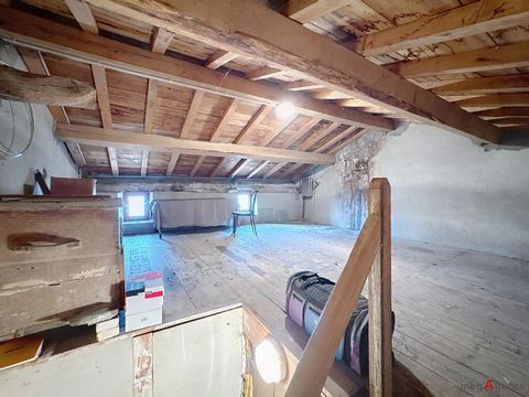 photo no. 15