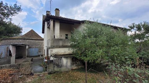 photo no. 13
