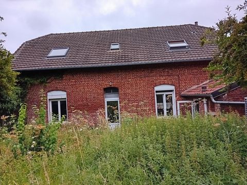 photo no. 5