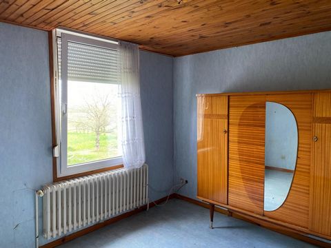 photo no. 4
