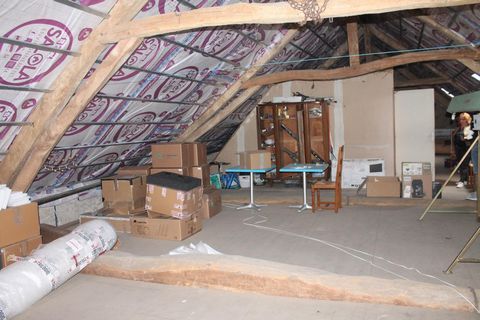 photo no. 12