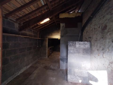 photo no. 8