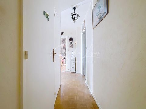 photo no. 8