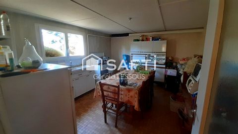photo no. 10