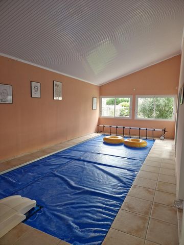 photo no. 10