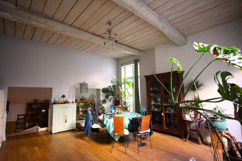 photo no. 5