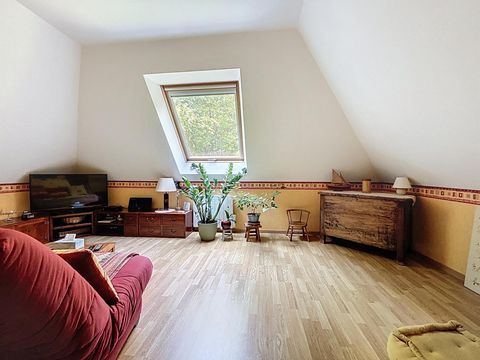 photo no. 12