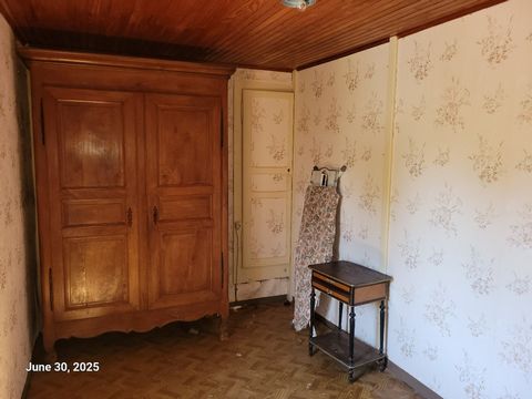photo no. 17