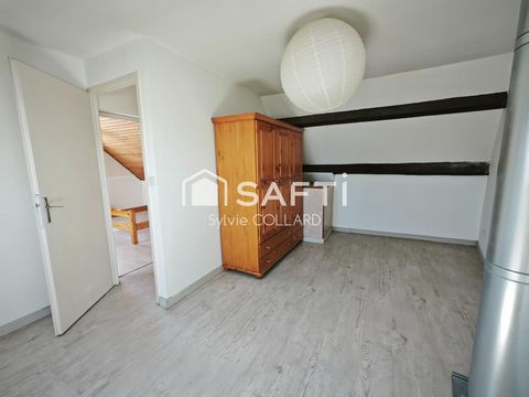 photo no. 7